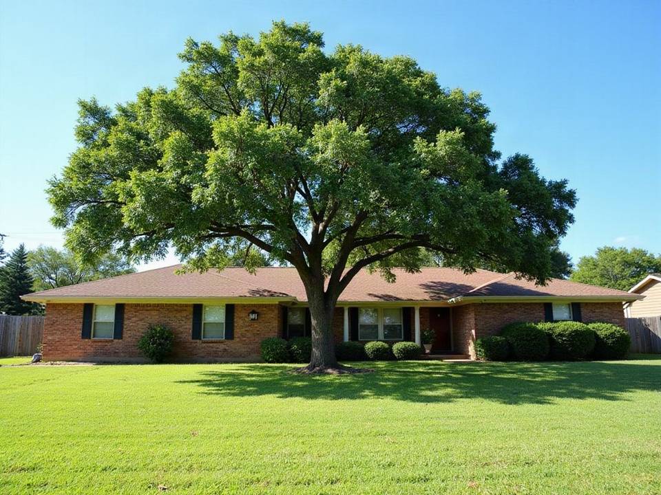 Single story brick ranch home under a large shade tree
